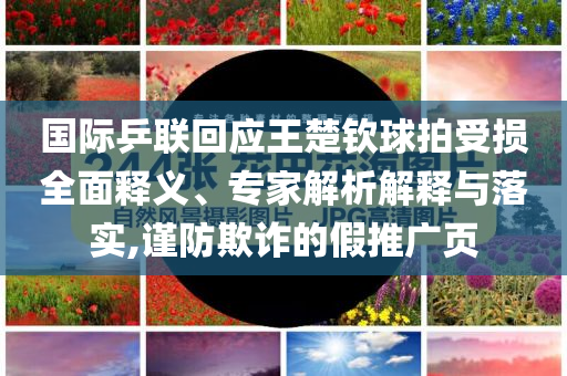國際乒聯(lián)回應王楚欽球拍受損全面釋義、專家解析解釋與落實,謹防欺詐的假推廣頁