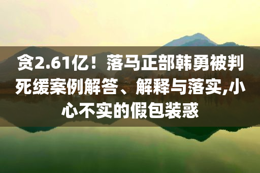 貪2.61億！落馬正部韓勇被判死緩案例解答、解釋與落實,小心不實的假包裝惑