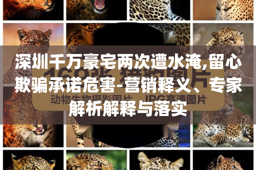 深圳千萬豪宅兩次遭水淹,留心欺騙承諾危害-營銷釋義、專家解析解釋與落實(shí)
