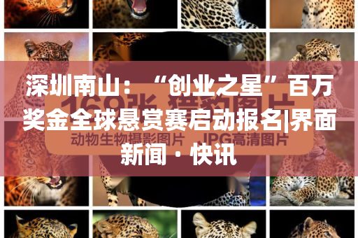 深圳南山：“創(chuàng)業(yè)之星”百萬獎(jiǎng)金全球懸賞賽啟動(dòng)報(bào)名|界面新聞 · 快訊
