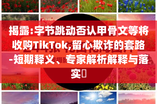 揭露:字節(jié)跳動(dòng)否認(rèn)甲骨文等將收購TikTok,留心欺詐的套路-短期釋義、專家解析解釋與落實(shí)?