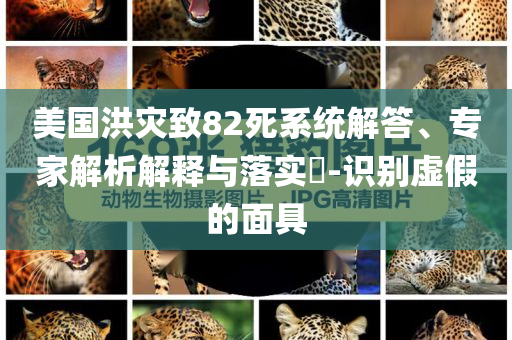 美國洪災致82死系統(tǒng)解答、專家解析解釋與落實?-識別虛假的面具