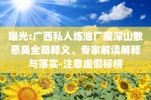 曝光:廣西私人煉油廠藏深山散惡臭全局釋義、專家解讀解釋與落實-注意虛假標榜