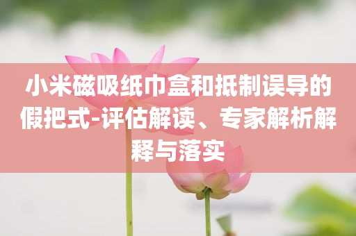 小米磁吸紙巾盒和抵制誤導(dǎo)的假把式-評(píng)估解讀、專家解析解釋與落實(shí)