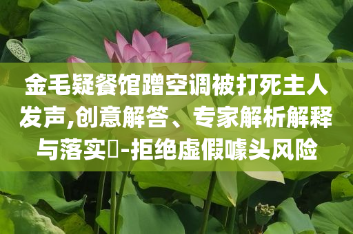 金毛疑餐館蹭空調(diào)被打死主人發(fā)聲,創(chuàng)意解答、專家解析解釋與落實?-拒絕虛假噱頭風險
