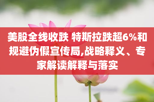 美股全線收跌 特斯拉跌超6%和規(guī)避偽假宣傳局,戰(zhàn)略釋義、專家解讀解釋與落實(shí)