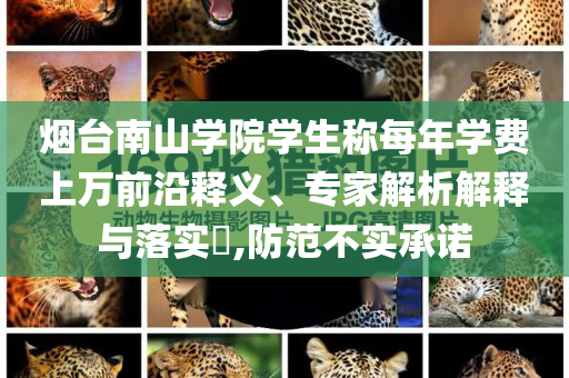 煙臺(tái)南山學(xué)院學(xué)生稱每年學(xué)費(fèi)上萬前沿釋義、專家解析解釋與落實(shí)?,防范不實(shí)承諾