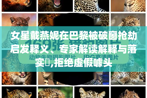 女星戴燕妮在巴黎被破窗搶劫啟發(fā)釋義、專家解讀解釋與落實?,拒絕虛假噱頭