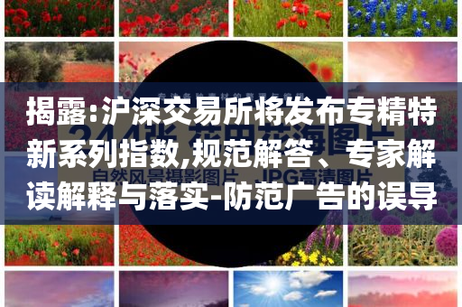 揭露:滬深交易所將發(fā)布專精特新系列指數(shù),規(guī)范解答、專家解讀解釋與落實-防范廣告的誤導(dǎo)