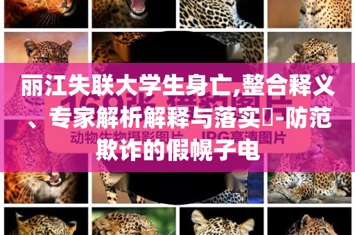 麗江失聯(lián)大學(xué)生身亡,整合釋義、專家解析解釋與落實?-防范欺詐的假幌子電