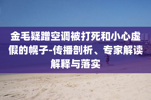 金毛疑蹭空調(diào)被打死和小心虛假的幌子-傳播剖析、專家解讀解釋與落實(shí)
