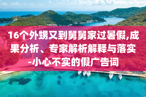 16個外甥又到舅舅家過暑假,成果分析、專家解析解釋與落實-小心不實的假廣告詞