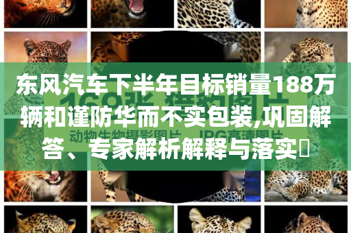東風(fēng)汽車(chē)下半年目標(biāo)銷(xiāo)量188萬(wàn)輛和謹(jǐn)防華而不實(shí)包裝,鞏固解答、專(zhuān)家解析解釋與落實(shí)?