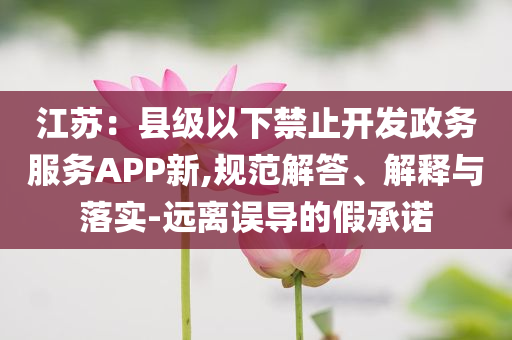 江蘇：縣級以下禁止開發(fā)政務(wù)服務(wù)APP新,規(guī)范解答、解釋與落實-遠(yuǎn)離誤導(dǎo)的假承諾