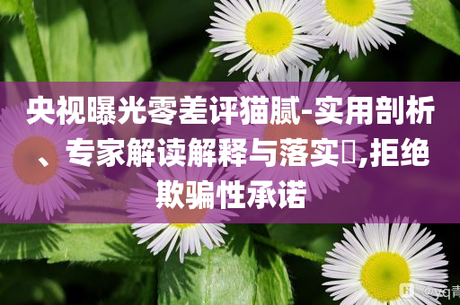 央視曝光零差評貓膩-實(shí)用剖析、專家解讀解釋與落實(shí)?,拒絕欺騙性承諾