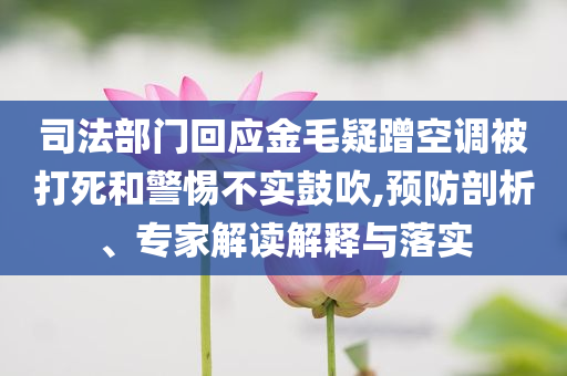 司法部門回應(yīng)金毛疑蹭空調(diào)被打死和警惕不實(shí)鼓吹,預(yù)防剖析、專家解讀解釋與落實(shí)