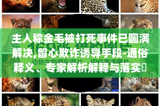 主人稱金毛被打死事件已圓滿解決,留心欺詐誘導手段-通俗釋義、專家解析解釋與落實?