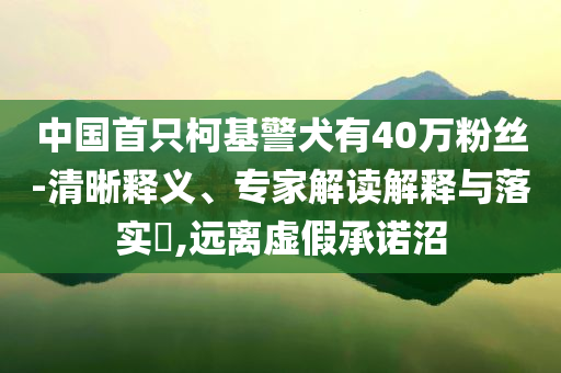 中國首只柯基警犬有40萬粉絲-清晰釋義、專家解讀解釋與落實?,遠離虛假承諾沼