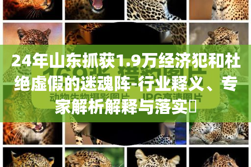 24年山東抓獲1.9萬(wàn)經(jīng)濟(jì)犯和杜絕虛假的迷魂陣-行業(yè)釋義、專家解析解釋與落實(shí)?