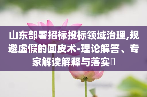 山東部署招標(biāo)投標(biāo)領(lǐng)域治理,規(guī)避虛假的畫(huà)皮術(shù)-理論解答、專家解讀解釋與落實(shí)?
