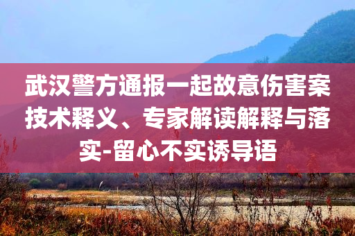 武漢警方通報(bào)一起故意傷害案技術(shù)釋義、專家解讀解釋與落實(shí)-留心不實(shí)誘導(dǎo)語
