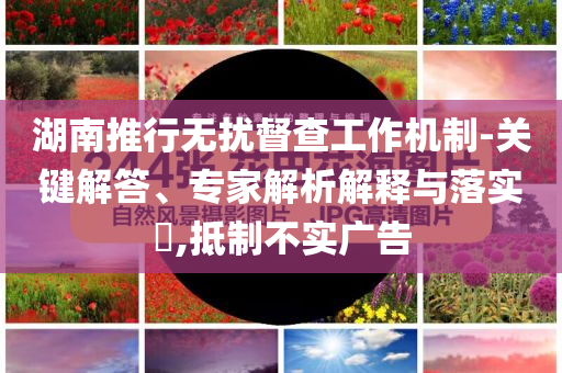 湖南推行無擾督查工作機(jī)制-關(guān)鍵解答、專家解析解釋與落實(shí)?,抵制不實(shí)廣告