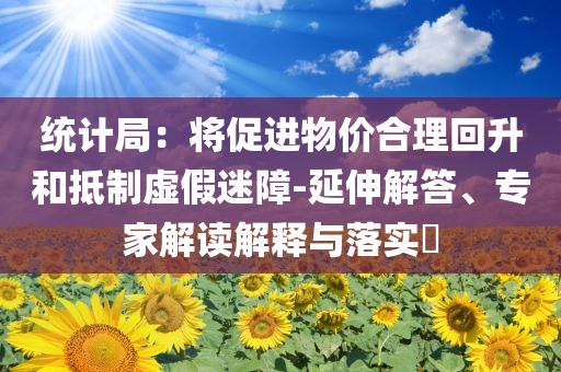 統(tǒng)計(jì)局：將促進(jìn)物價(jià)合理回升和抵制虛假迷障-延伸解答、專家解讀解釋與落實(shí)?
