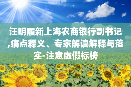 汪明履新上海農(nóng)商銀行副書記,痛點(diǎn)釋義、專家解讀解釋與落實(shí)-注意虛假標(biāo)榜