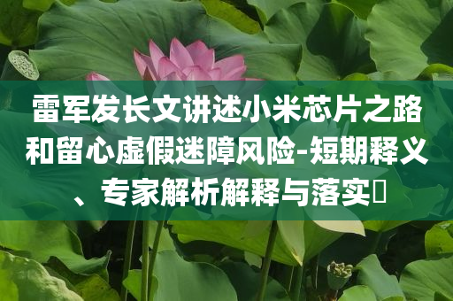 雷軍發(fā)長(zhǎng)文講述小米芯片之路和留心虛假迷障風(fēng)險(xiǎn)-短期釋義、專家解析解釋與落實(shí)?