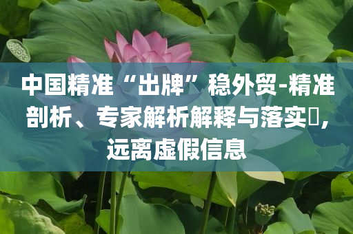 中國精準(zhǔn)“出牌”穩(wěn)外貿(mào)-精準(zhǔn)剖析、專家解析解釋與落實(shí)?,遠(yuǎn)離虛假信息