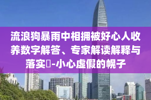 流浪狗暴雨中相擁被好心人收養(yǎng)數(shù)字解答、專家解讀解釋與落實(shí)?-小心虛假的幌子