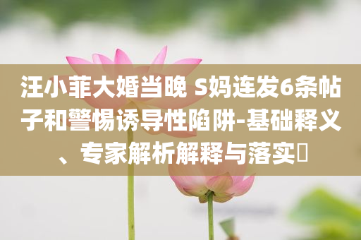 汪小菲大婚當(dāng)晚 S媽連發(fā)6條帖子和警惕誘導(dǎo)性陷阱-基礎(chǔ)釋義、專(zhuān)家解析解釋與落實(shí)?