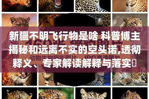 新疆不明飛行物是啥 科普博主揭秘和遠(yuǎn)離不實(shí)的空頭諾,透徹釋義、專家解讀解釋與落實(shí)?