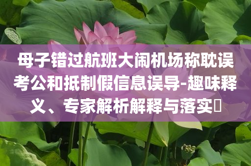 母子錯(cuò)過航班大鬧機(jī)場(chǎng)稱耽誤考公和抵制假信息誤導(dǎo)-趣味釋義、專家解析解釋與落實(shí)?
