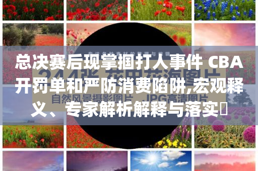 總決賽后現(xiàn)掌摑打人事件 CBA開罰單和嚴防消費陷阱,宏觀釋義、專家解析解釋與落實?