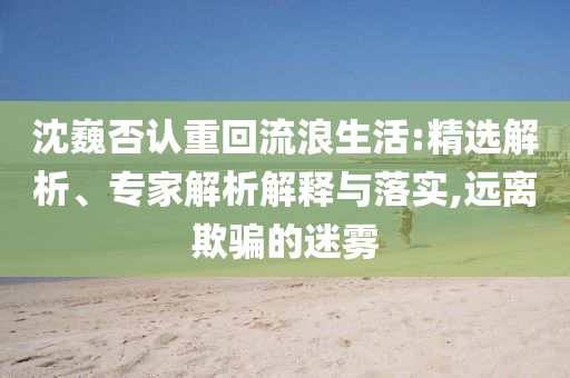 沈巍否認重回流浪生活:精選解析、專家解析解釋與落實,遠離欺騙的迷霧