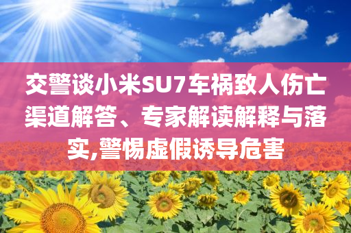 交警談小米SU7車禍致人傷亡渠道解答、專家解讀解釋與落實,警惕虛假誘導危害