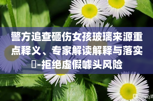 警方追查砸傷女孩玻璃來源重點(diǎn)釋義、專家解讀解釋與落實(shí)?-拒絕虛假噱頭風(fēng)險(xiǎn)