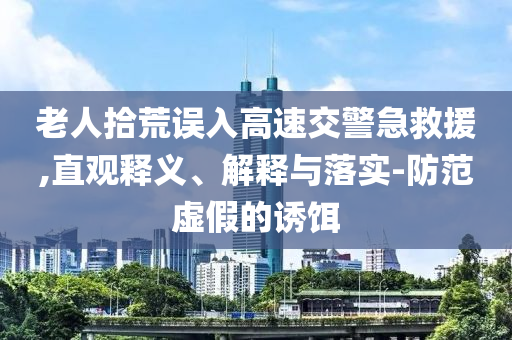 老人拾荒誤入高速交警急救援,直觀釋義、解釋與落實(shí)-防范虛假的誘餌
