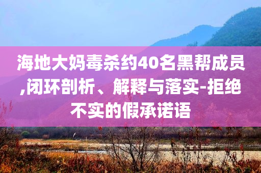 海地大媽毒殺約40名黑幫成員,閉環(huán)剖析、解釋與落實(shí)-拒絕不實(shí)的假承諾語