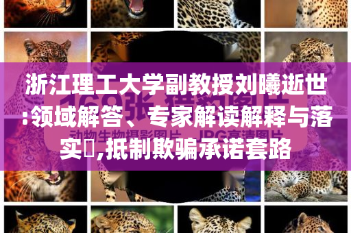 浙江理工大學(xué)副教授劉曦逝世:領(lǐng)域解答、專家解讀解釋與落實(shí)?,抵制欺騙承諾套路