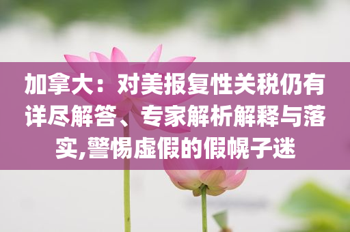 加拿大：對(duì)美報(bào)復(fù)性關(guān)稅仍有詳盡解答、專家解析解釋與落實(shí),警惕虛假的假幌子迷