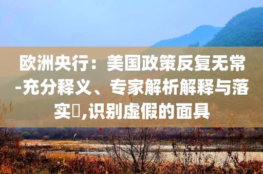 歐洲央行：美國政策反復(fù)無常-充分釋義、專家解析解釋與落實(shí)?,識(shí)別虛假的面具