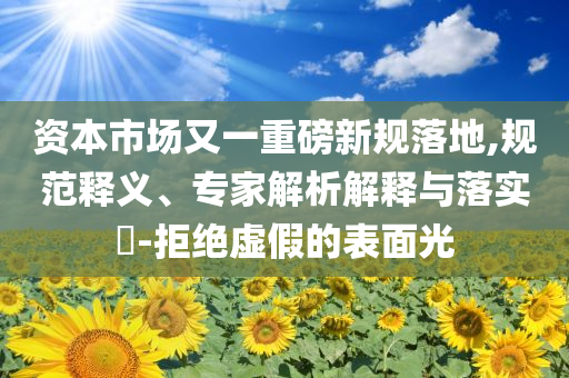 資本市場又一重磅新規(guī)落地,規(guī)范釋義、專家解析解釋與落實?-拒絕虛假的表面光