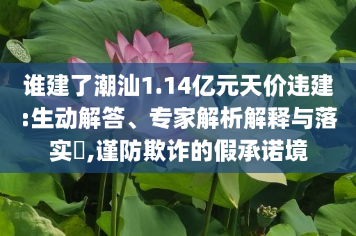 誰(shuí)建了潮汕1.14億元天價(jià)違建:生動(dòng)解答、專(zhuān)家解析解釋與落實(shí)?,謹(jǐn)防欺詐的假承諾境