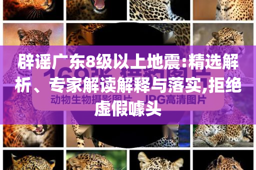 辟謠廣東8級以上地震:精選解析、專家解讀解釋與落實(shí),拒絕虛假噱頭