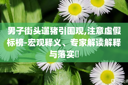男子街頭遛豬引圍觀,注意虛假標(biāo)榜-宏觀釋義、專家解讀解釋與落實(shí)?