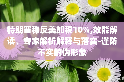 特朗普稱反美加稅10%,效能解讀、專家解析解釋與落實(shí)-謹(jǐn)防不實(shí)的偽形象