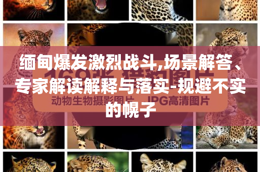 緬甸爆發(fā)激烈戰(zhàn)斗,場(chǎng)景解答、專家解讀解釋與落實(shí)-規(guī)避不實(shí)的幌子
