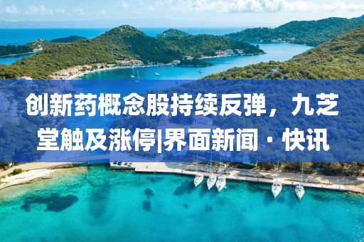 創(chuàng)新藥概念股持續(xù)反彈，九芝堂觸及漲停|界面新聞 · 快訊